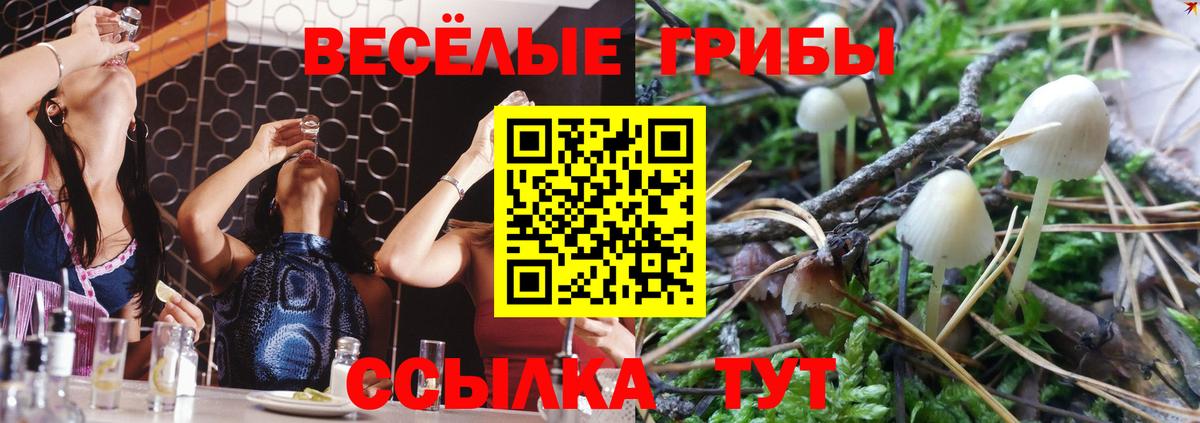 Галлюциногенные грибы MAGIC MUSHROOMS Полевской