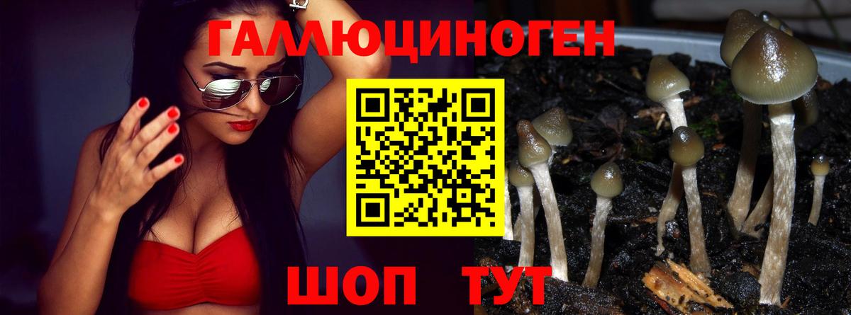 Псилоцибиновые грибы Psilocybe  Галлюциногенные грибы Magic Shrooms  Полевской  хочу   Вход с VPN 